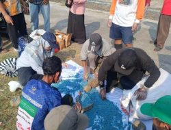 Cegah Tikus Meyerang, Warga Brenggong Racik Obat Mujarab