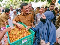 Cabai Mahal Bikin Pedagang Pusing, Ahmad Luthfi Buka Akses Pangan Murah
