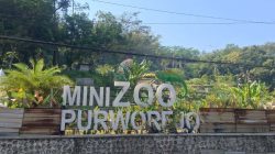 Mini Zoo Purworejo Mangkrak: Saatnya Mengevaluasi Pembangunan Destinasi Wisata