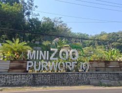 Mini Zoo Purworejo Mangkrak: Saatnya Mengevaluasi Pembangunan Destinasi Wisata